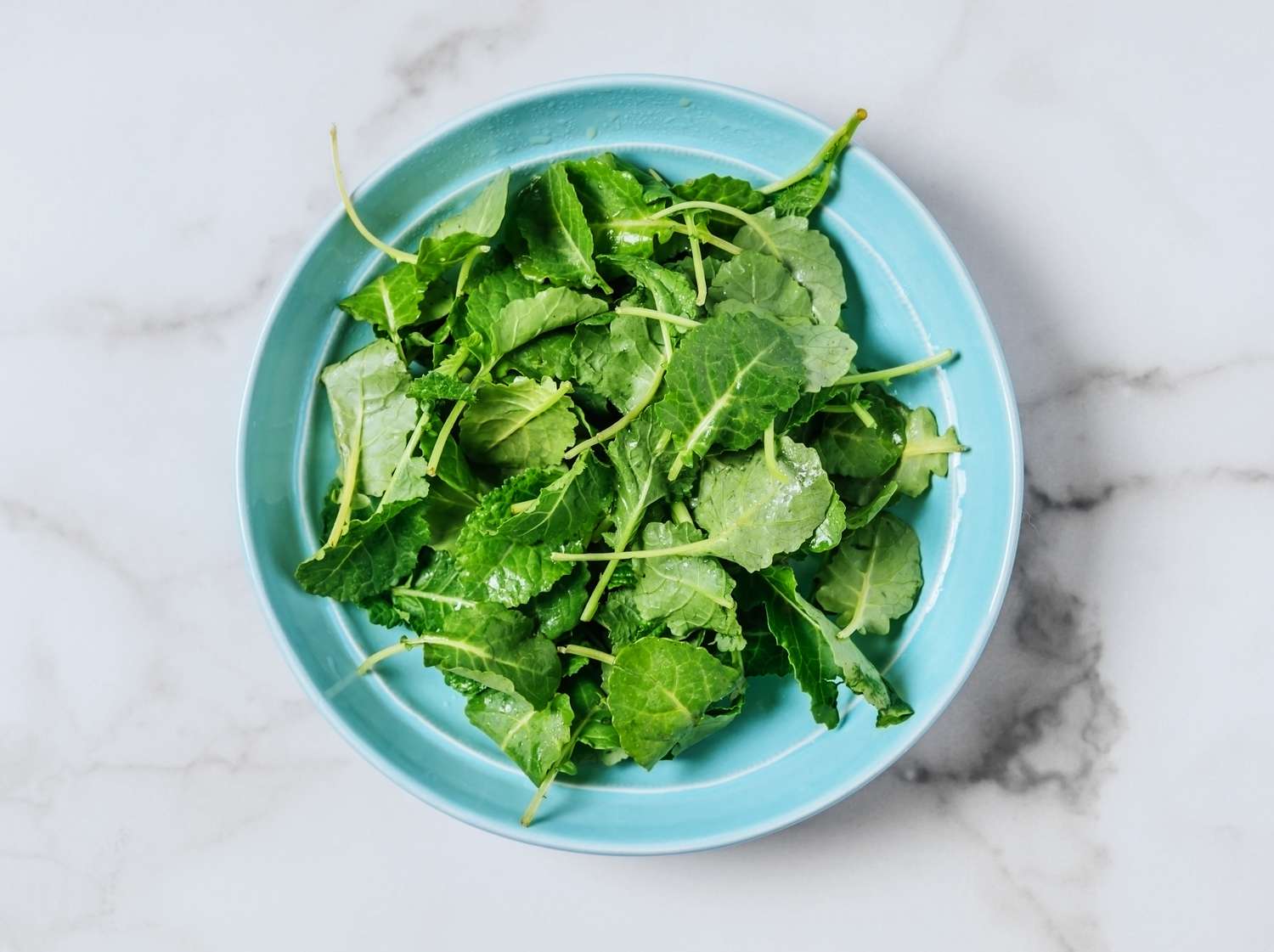 Master Kale Storage: Stop Wilted Greens, Maximize Freshness